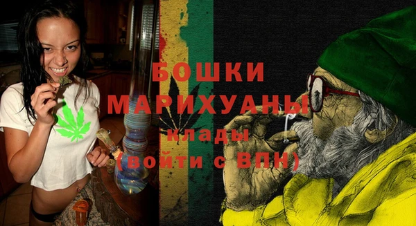 индика Богданович