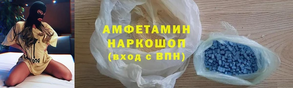 индика Богданович