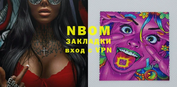 индика Богданович