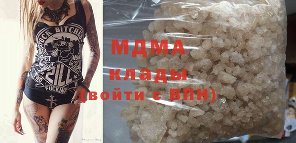 индика Богданович