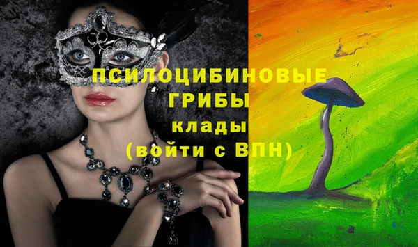 индика Богданович