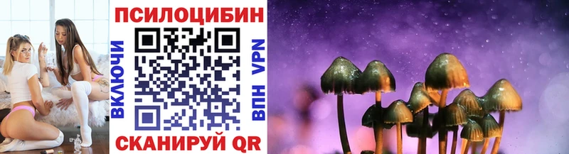 Псилоцибиновые грибы Magic Shrooms  Купить закладки  Мончегорск 